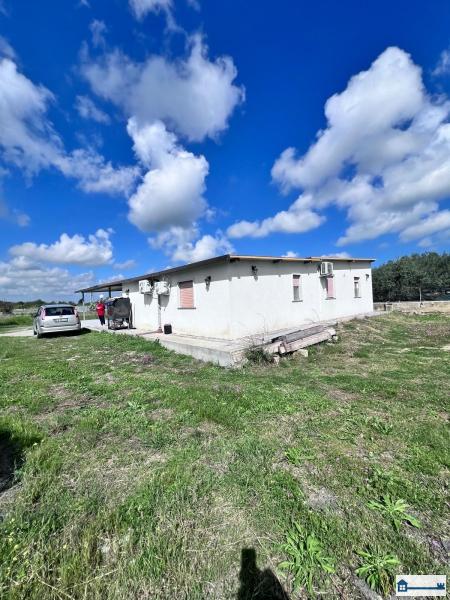 PHOTO-2025-03-05-14-44-27 (8).jpg